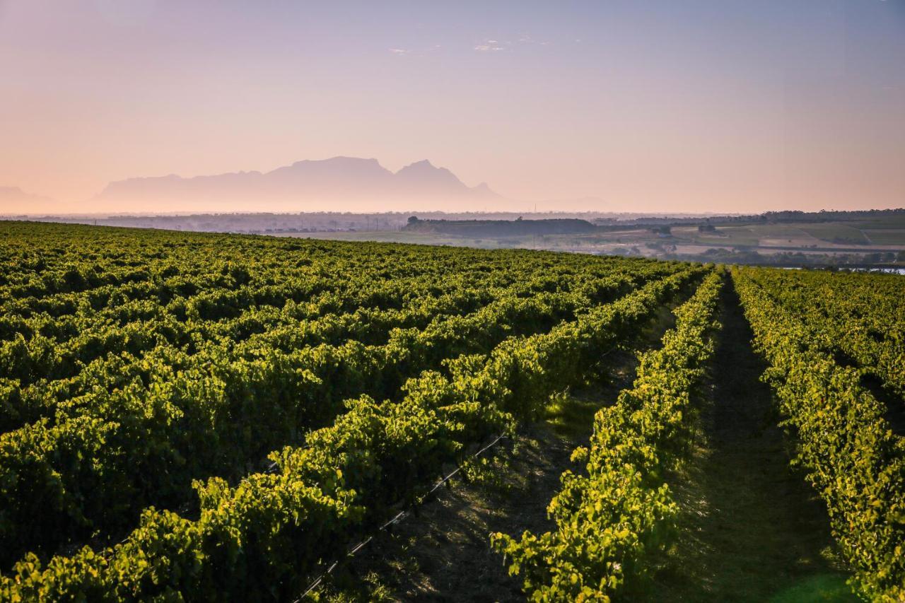 Lyngrove Wines & Guesthouse Stellenbosch Eksteriør billede